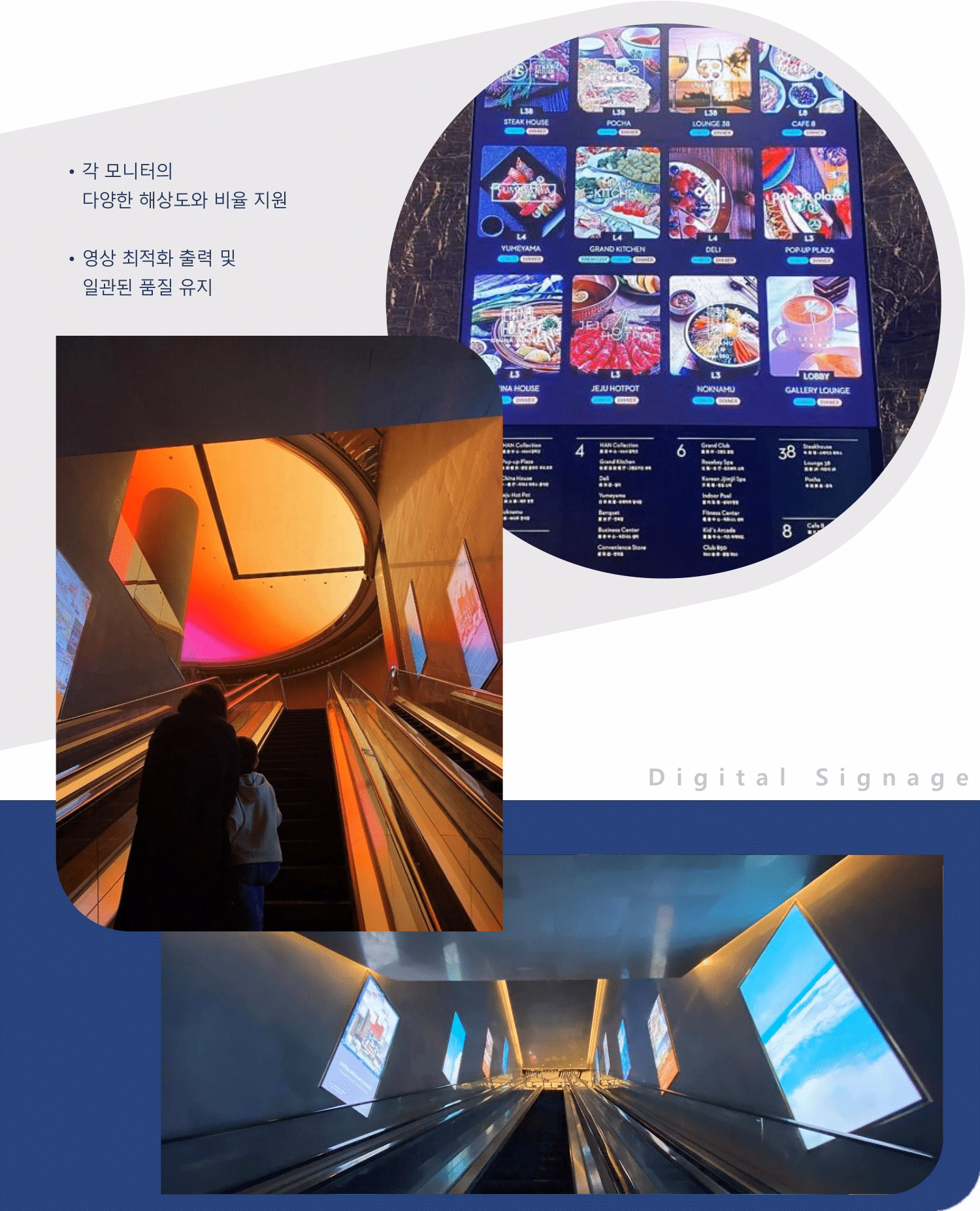 사이니지